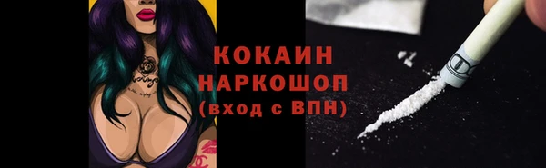шишки Алексин