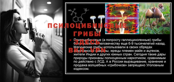 амф Алексеевка