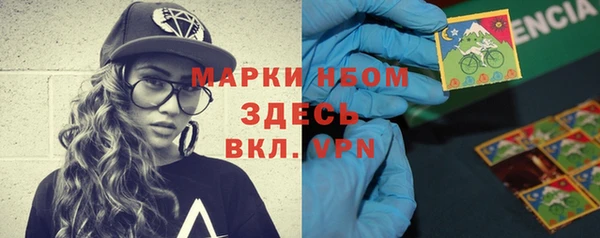 молекула духа Осташков