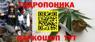 ПСИЛОЦИБИНОВЫЕ ГРИБЫ Аргун