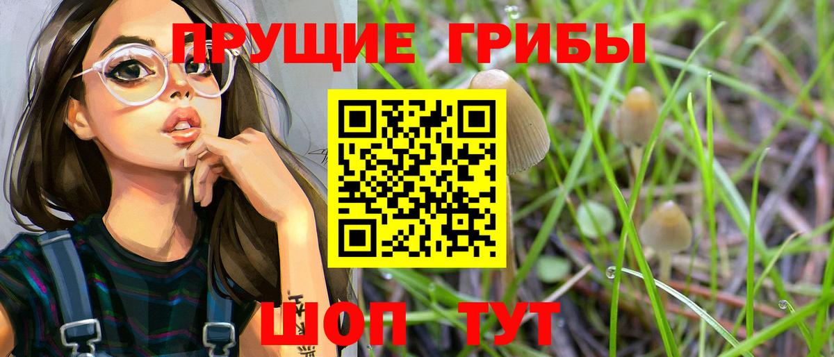 дарнет шоп  Галлюциногенные грибы Cubensis  Вход с VPN  Галлюциногенные грибы MAGIC MUSHROOMS  Новоуральск 