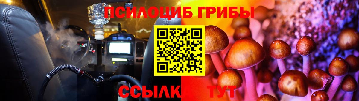 Новоуральск  Галлюциногенные грибы Psilocybine cubensis  Вход с VPN 